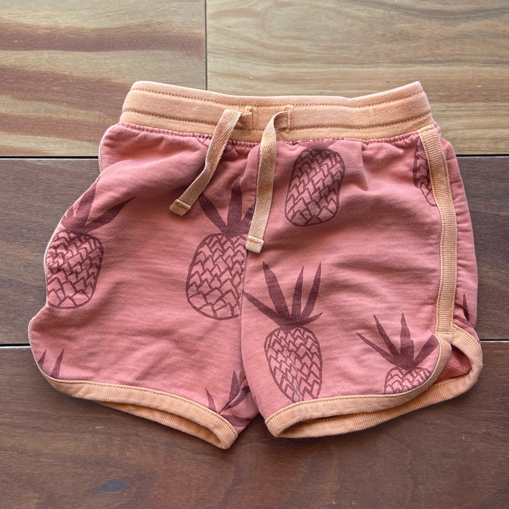 Tea Collection Orange Pineapple Retro Pull on Shorts 2T